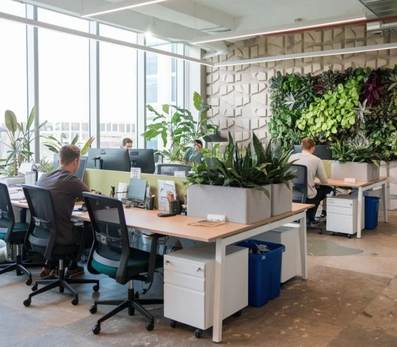Modern Dubai Office with Plants.