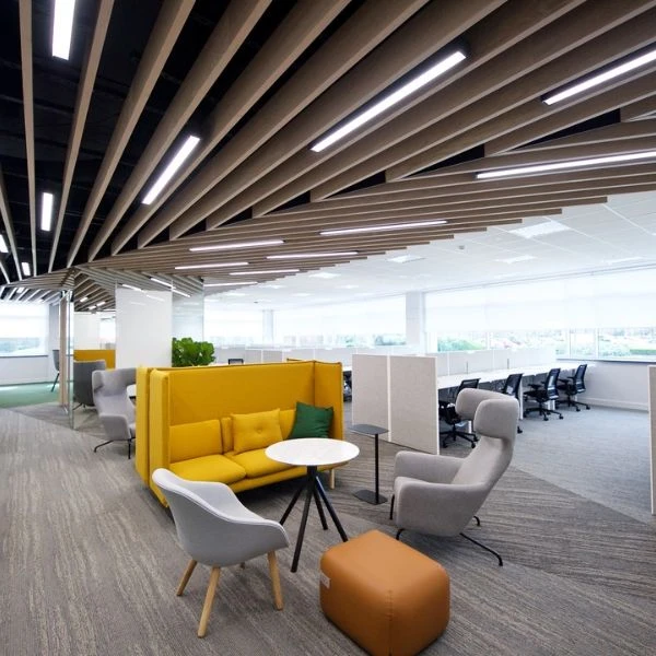 Building Your Dream Office Space.