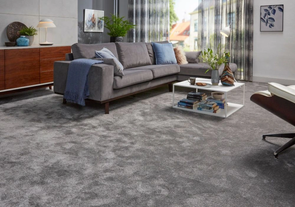 Living room lounge with plush grey carpet