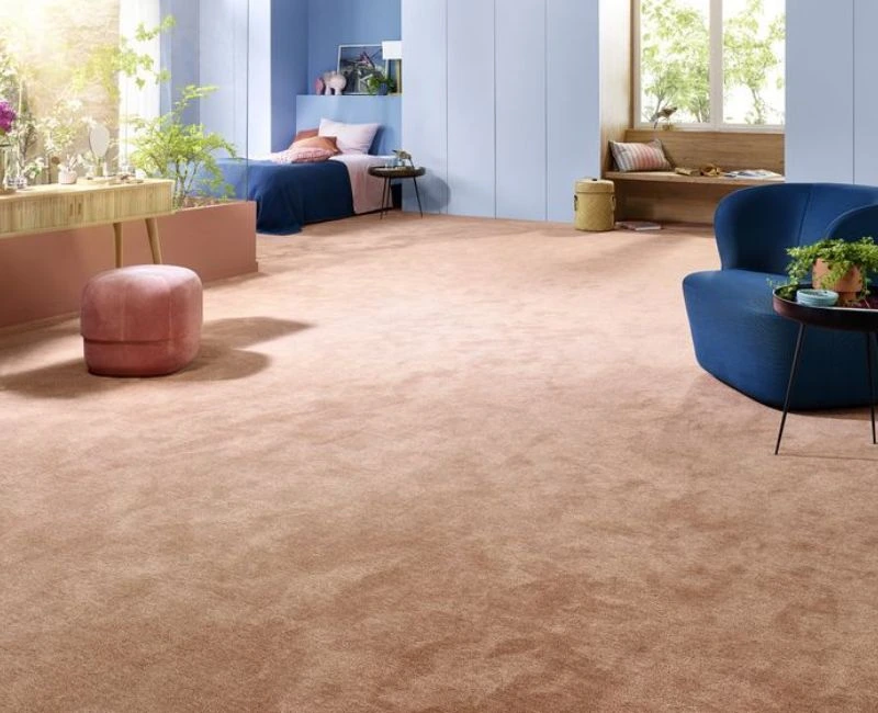 Soft Pink Living Room Carpet Design