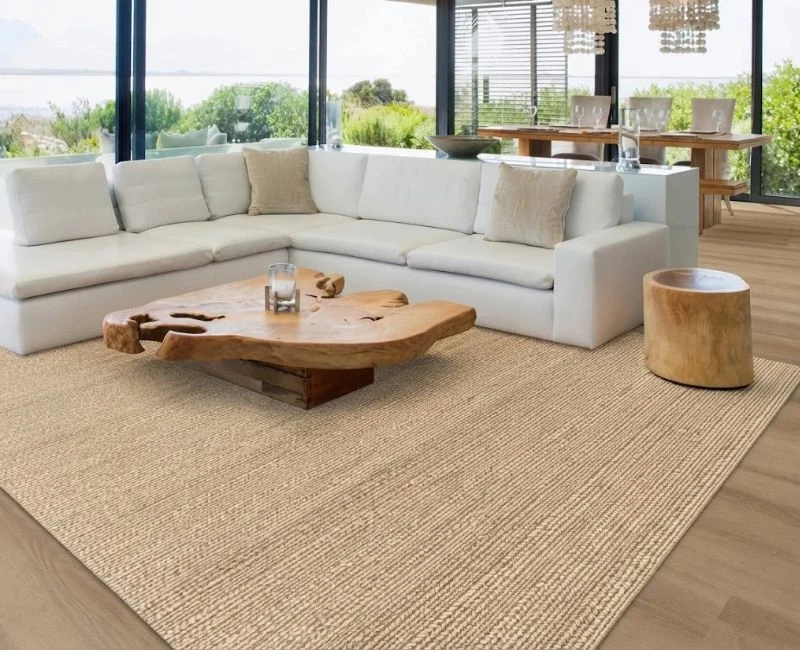 Modern interior sisal rug in UAE