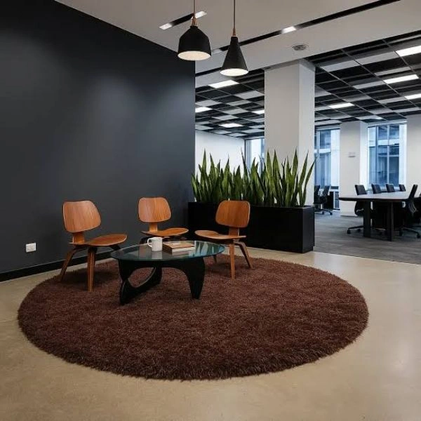Anti-slip shaggy rugs for bathrooms Dubai.
