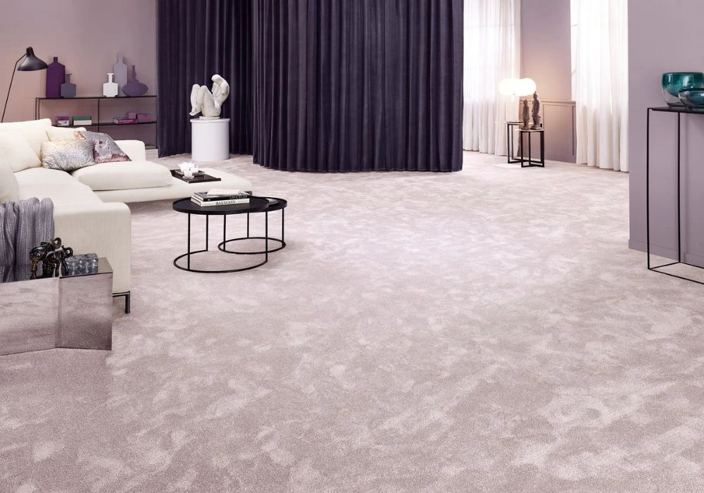 Elegant Light Grey Living Room Carpets